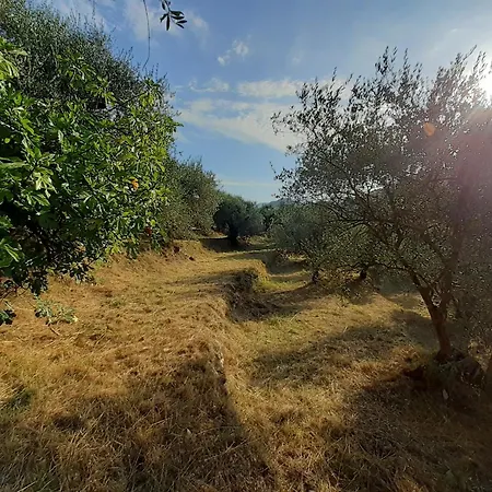 Casa Firmus * Dolceacqua