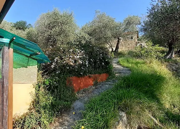 Casa Firmus