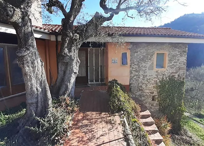 Casa Firmus