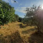Casa Firmus * Dolceacqua