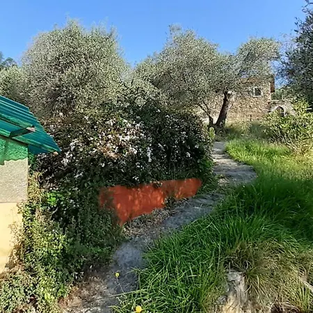 Casa Firmus