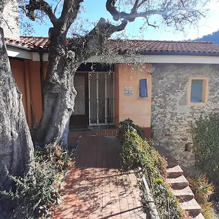 Casa Firmus