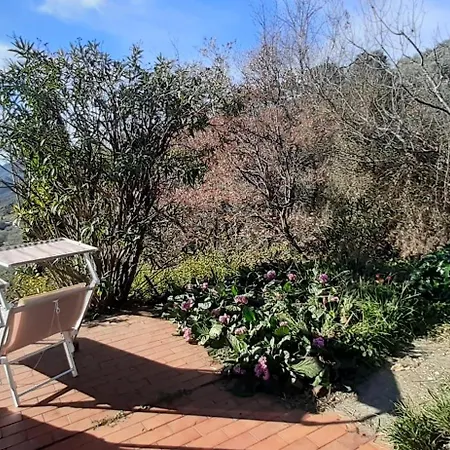 Casa Firmus Holiday home