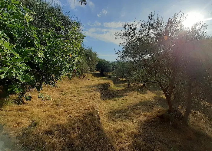 Casa Firmus * Dolceacqua